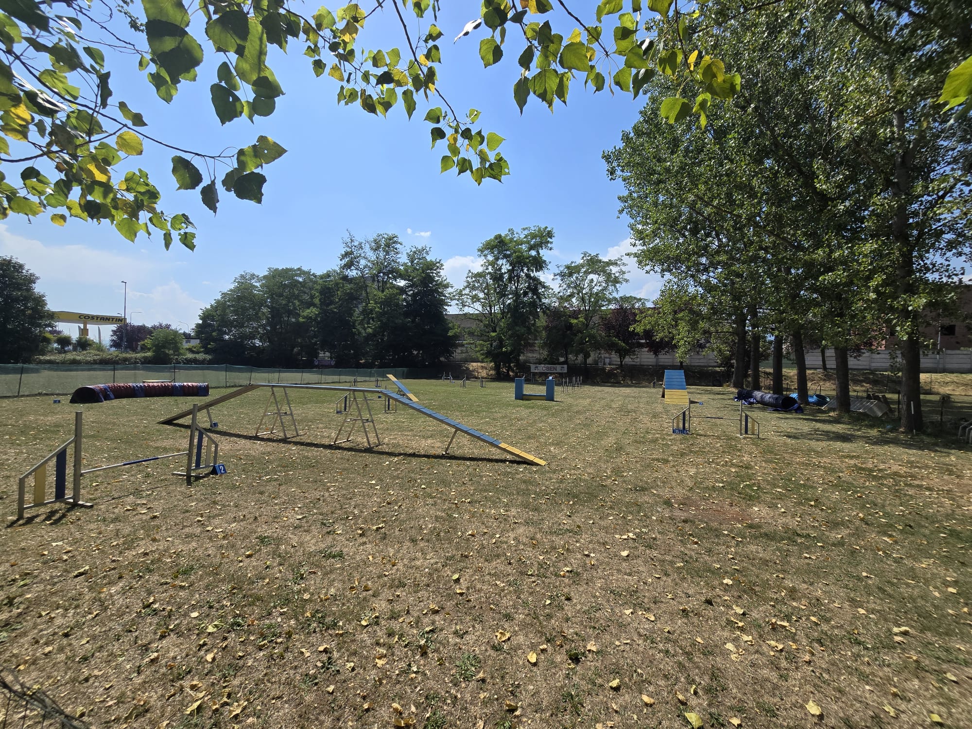 Campo agility con percorsi e ostacoli al centro cinofilo DOG HOUSE a Druento