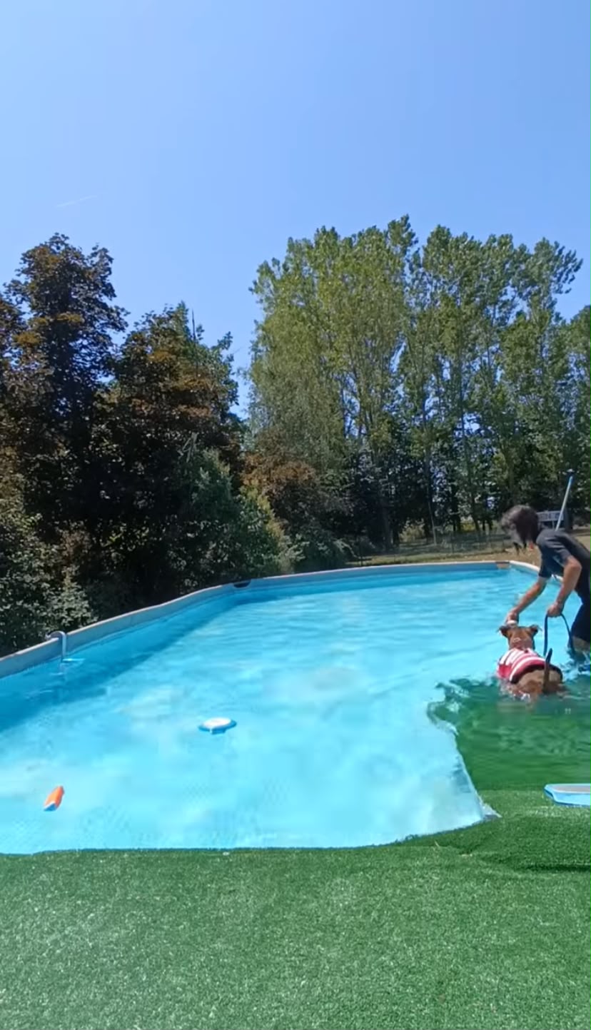 Piscina per cani con un cane che nuota assistito dall'istruttore