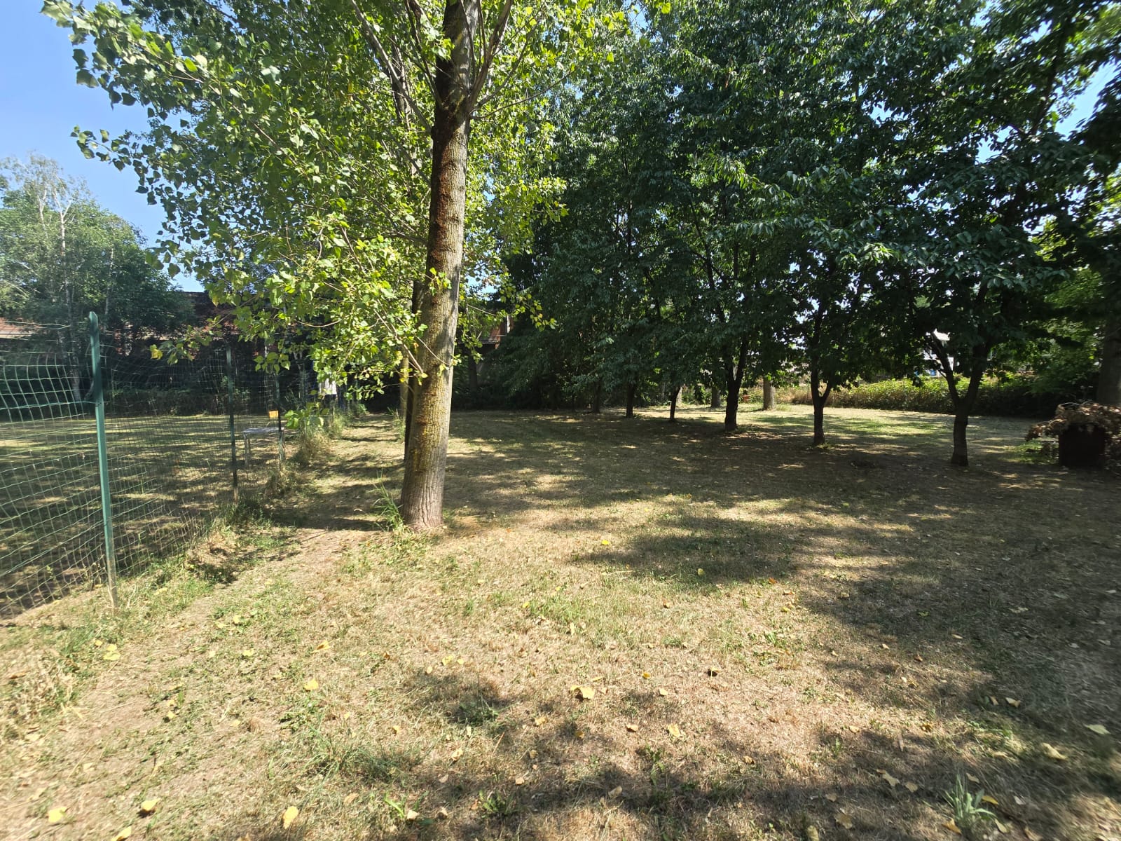 Area verde recintata con alberi per lo sgambamento dei cani