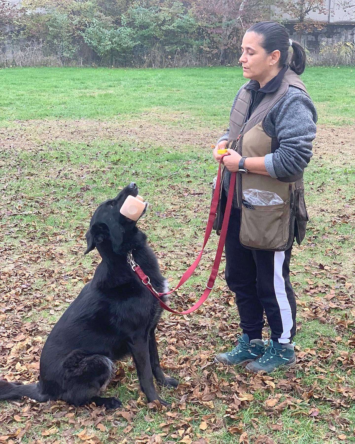 Valeria e Aky — esercizio di attenzione con il pastore nero seduto